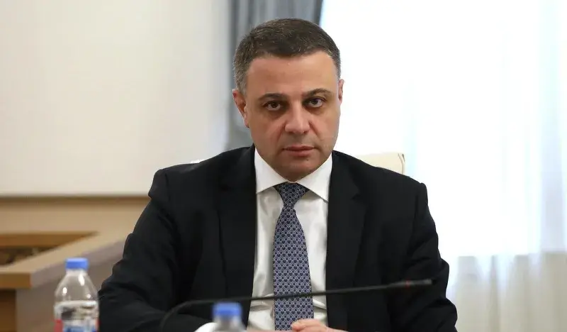 ალუდა ღუდუშაური საკონსტიტუციო სარჩელზე: „კომისიის დასკვნა არის ერთ-ერთი და არა ერთადერთი. არსებობს უამრავი