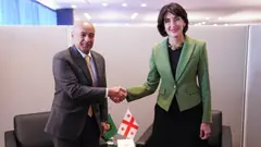 მაკა ბოჭორიშვილი ყურის ქვეყნების თანამშრომლობის საბჭოს (GCC) გენერალურ მდივანს შეხვდა