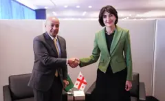 მაკა ბოჭორიშვილი ყურის ქვეყნების თანამშრომლობის საბჭოს გენერალურ მდივანს, ჯასემ მოჰამედ ალ-ბუდაივს შეხვდა