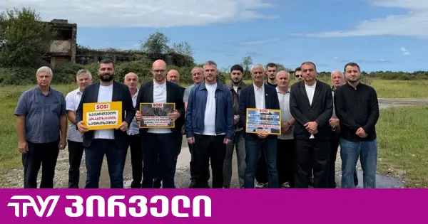 ორი არაბული ანკლავის გაჩენა გონიოსა და კრწანისის ტყე-პარკსა, დანაშაულია - ირაკლი კუპრაძე ხელშეკრულების გასაჯაროებას ითხოვს