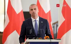 ლევან მაჭავარიანი – „ენჯეოებმა“ სააკაშვილი ბოლოს აღარ შეიყვანეს პოლიტპატიმართა სიაში, ეს იყო ერთადერთი შემთხვევა, როცა მათ დავეთანხმე, შემდეგ მისგან იგრძნეს ბულინგი, წნეხს ვერ გაუძლეს და შეიყვანეს სიაში