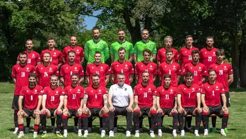 "საქართველოს ჩემს გულში მუდამ განსაკუთრებული ადგილი ექნება" - ვილი სანიოლი
