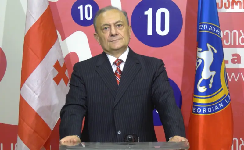 ნათელაშვილი: რეჟიმის შეცვლის შემდეგ სოხუმი საქართველოს კონსტიტუციურ დედაქალაქად უნდა გამოცხადდეს
