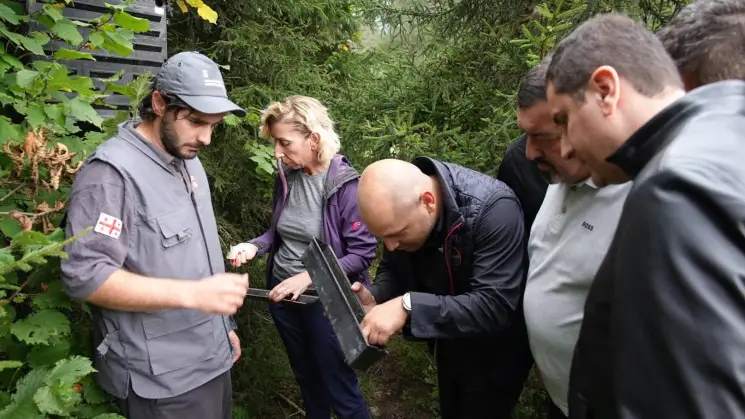 სვანეთში, ლახამულას ხეობაში, წიწვოვანი ტყის გადასარჩენად, სპეციალისტები შესაბამის ღონისძიებებს ატარებენ