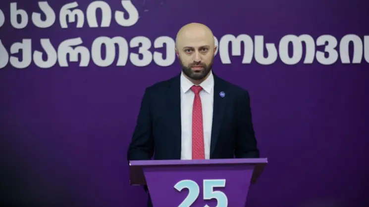 "დარწმუნებული ვარ, "ნაცმოძრაობა" არ აიკრძალება... ჩვენ შეიძლება აგვიკრძალონ და "ნაცმოძრაობა" არის საყრდენი" - ბერდია სიჭინავა