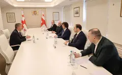 ირაკლი კობახიძე საერთაშორისო პარალიმპიური კომიტეტის პრეზიდენტ ენდრიუ პარსონსს შეხვდა