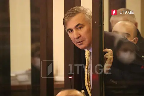 მიხეილ სააკაშვილი – დიქტატურა აუცილებლად დაემხობა და ეს ძალიან მალე მოხდება, მგლები დაიზარდნენ, ემზადებიან, რათა დაასრულონ ტურებისა და ჰიენების მმართველობა