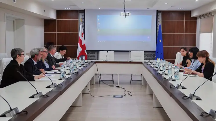 თეა ახვლედიანი წითელი ჯვრის საერთაშორისო კომიტეტის (ICRC) ევროპისა და ცენტრალური აზიის ოპერაციების კოორდინატორს შეხვედა