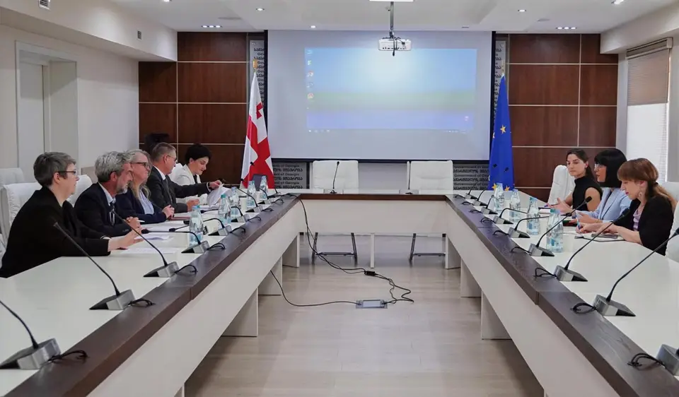 თეა ახვლედიანი წითელი ჯვრის საერთაშორისო კომიტეტის ევროპისა და ცენტრალური აზიის ოპერაციების კოორდინატორს, დენა ფიშერს შეხვდა