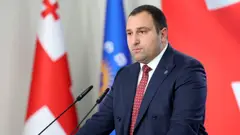ირაკლი კირცხალია: გახარია, ან ნებისმიერი პარტია, რომელიც ჩვენს საკონსტიტუციო სარჩელშია შეტანილი, არის ერთი, "კოლექტიური ნაცმოძრაობა", რომელიც გარე ძალების მხრიდან იმართება