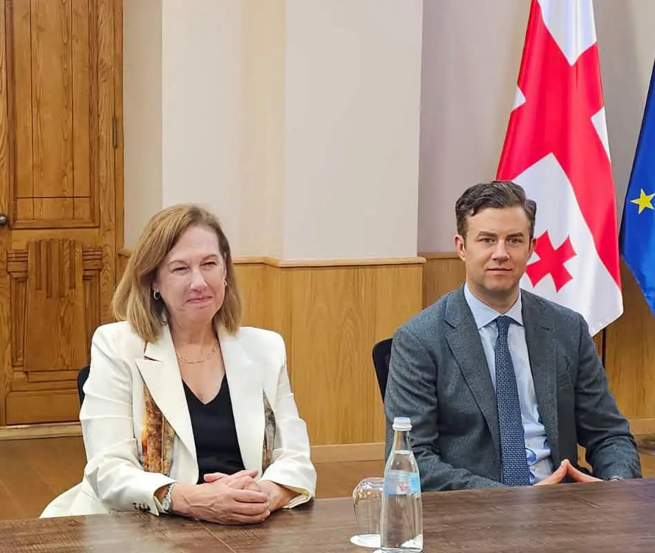 საქართველოს საგარეო საქმეთა მინისტრის მოადგილე აშშ-ის “Pacific Council”-ის დელეგაციას შეხვდა