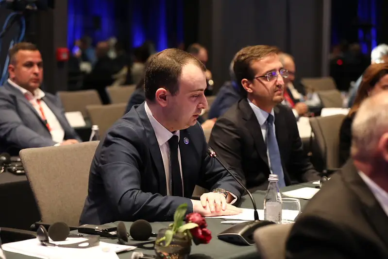 გიორგი ჩაკვეტაძე: "ევროკავშირსა და საქართველოს შორის არსებულმა მიმდინარე სირთულეებმა არ უნდა გააუქმოს