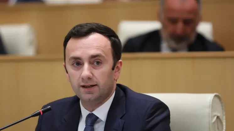ლევან მახაშვილი: საქართველოს საგარეო პოლიტიკა გადაწყდება თბილისში და არა რომელიმე კომისრის კაბინეტში, იგი გადაწყდება მხოლოდ საქართველოს სახელმწიფოსა და მოსახლეობის ინტერესების გათვალისწინებით