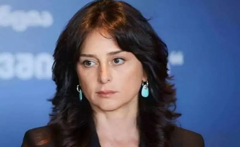 რა ქონებას ფლობს კულტურის ახალი მინისტრი მაია ბითაძე?