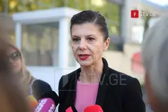 თამარ ჩერგოლეიშვილი – გავრცელებულ სლაიდზე ის ხდება, რასაც ათი წელია, გავიძახი, მეინსტრიმ ოპოზიცია ჩარეცხილია და მხოლოდ მესიამოვნება, თუ ეს მართალია