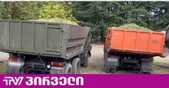 ყალბი ცნობით ყურძნის ჩაბარების ბრალდებით ორი ადამიანი დააკავეს