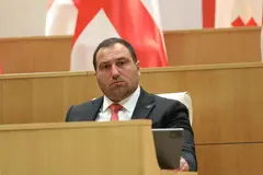 ირაკლი კირცხალია: საქართველოს ჰყავს მეგობრები და პარტნიორები, მაგრამ საქართველოს ბედის გადაწყვეტის უფლება მხოლოდ ქართველ ხალხს ეკუთვნის
