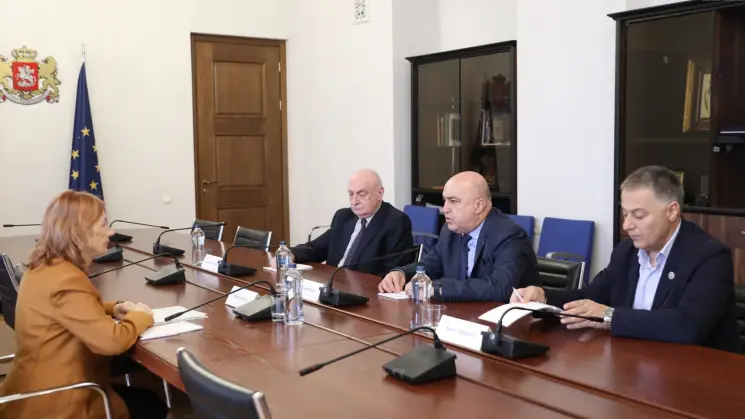 ჯანმრთელობის დაცვისა და სოციალურ საკითხთა კომიტეტის წევრები სკოლის ექიმთა ასოციაციის პრეზიდენტს შეხვდნენ