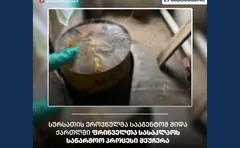 შიდა ქართლში ფრინველთა სასაკლაოს კრიტიკული დარღვევები გამოუვლინდა – საწარმოო პროცესი შეჩერდა