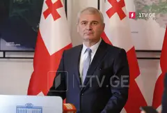 ირაკლი ქადაგიშვილი – ირანის ელჩმა კეთილი ინებოს და თავისი კომპეტენციის ფარგლებში თავისი ფუნქციის აღსრულება მოახდინოს, ის წიაღსვლები, რომელიც მას გააჩნია არარელევანტურია