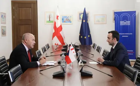 ლევან მახაშვილი ჩეხეთის ელჩს შეხვდა