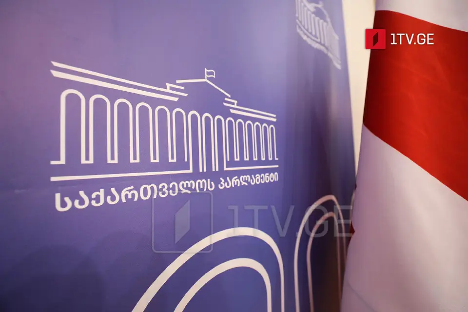 პარლამენტმა უზენაესი სასამართლოს მოსამართლედ დავით მამისეიშვილი დაამტკიცა