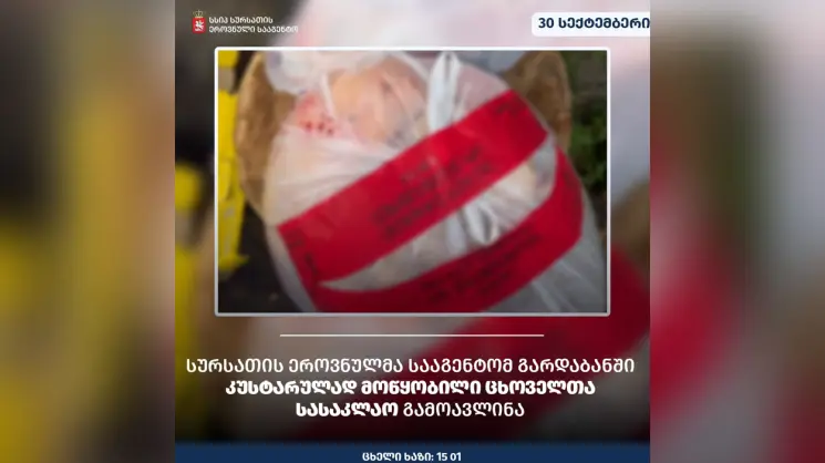 სურსათის ეროვნულმა სააგენტომ გარდაბანში კუსტარულად მოწყობილი ცხოველთა სასაკლაო გამოავლინა