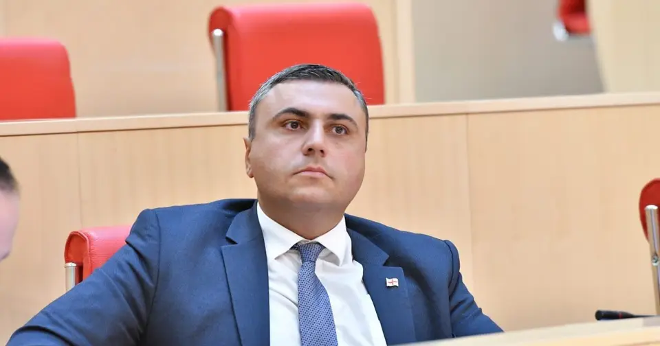 მათიკაშვილი ღარიბაშვილზე: უხერხულია, როდესაც ქვეყნის ყველა მიღწევას საკუთარ თავზე იბრალებს