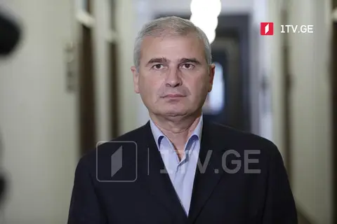 ირაკლი ქადაგიშვილი – „ევროპის სახალხო პარტია“ დესტრუქციული პოლიტიკის მხარდამჭერია, ასეთმა მიდგომამ ოპოზიცია იმ ნულოვან ნიშნულამდე მიიყვანა, როგორი ვარდნაც „სახალხო პარტიას“ გერმანიაში აქვს