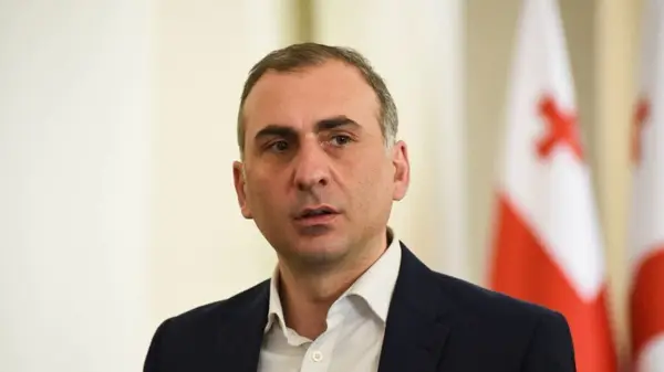 “სისხლი მომდიოდა, წყალი არ დამალევინეს” – ელისაშვილის საქმე
