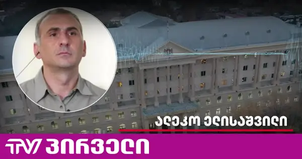 "სისხლი მომდიოდა, წყალი არ დამალევინეს" - ელისაშვილმა მისი დაკავების დეტალებზე ისაუბრა