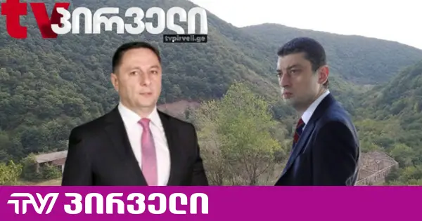 გომელაურის ჩვენება არის სირცხვილი, მისსა და მამუკა ბახტაძის ჩვენებას შორის არსებითი წინააღმდეგობაა - გახარიას ადვოკატი
