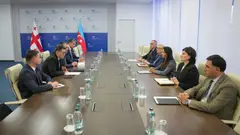 მარიამ ქვრივიშვილი აზერბაიჯანის ენერგეტიკის მინისტრის მოადგილეს შეხვდა