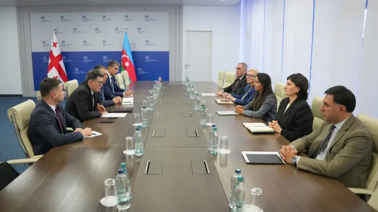 მარიამ ქვრივიშვილი აზერბაიჯანის ენერგეტიკის მინისტრის მოადგილეს შეხვდა