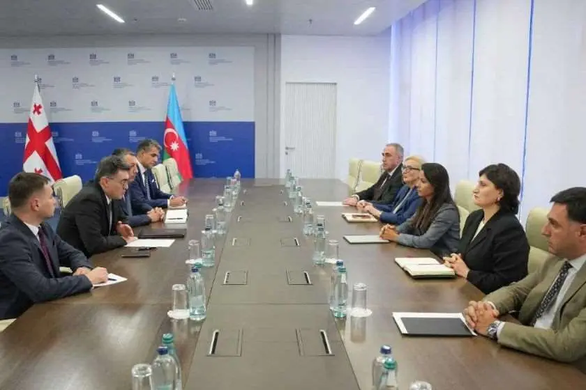 ეკონომიკისა და მდგრადი განვითარების მინისტრი მარიამ ქვრივიშვილი აზერბაიჯანის ენერგეტიკის მინისტრის მოადგილეს