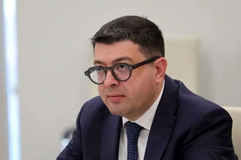 დიმიტრი სამხარაძე: "მაშინ, როდესაც „ნაციონალური მოძრაობა“ მშვიდობიანი გზით ხელისუფლების დათმობას არ