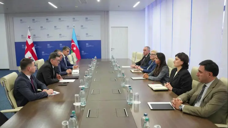 მარიამ ქვრივიშვილი აზერბაიჯანის ენერგეტიკის მინისტრის მოადგილეს შეხვდა