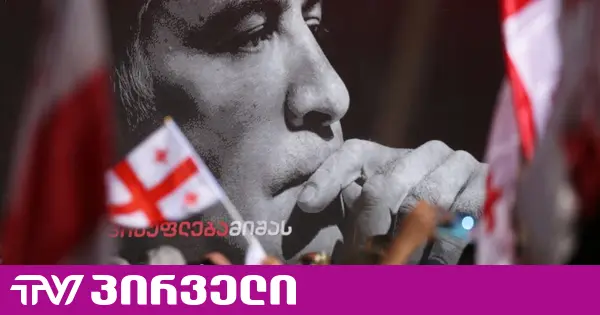 "ნაციონალური მოძრაობა" გეგმებს არ ცვლის - პარტია ფართომასშტაბიანი აქციისთვის ემზადება