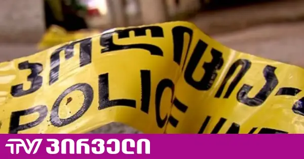 მიკროავტობუსი, რომელსაც 15 მოსწავლე გადაჰყავდა, ავარიაში მოყვა