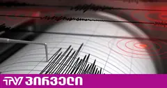 საქართველოს საზღვართან 20 კილომეტრში 4.1 მაგნიტუდის მიწისძვრა მოხდა