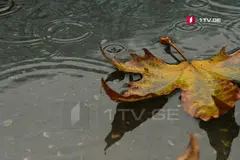 სინოპტიკოსების პროგნოზით, პირველი ოქტომბრის დღის ბოლოდან 3 ოქტომბრის დღის მეორე ნახევრამდე საქართველოში მოსალოდენელია დროგამოშვებით ნალექი, ზოგან ძლიერი ინტენსივობის