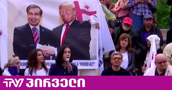 მიხეილ სააკაშვილის პატიმრობა არის ქვეყნის ეროვნული სირცხვილი - ანი წითლიძე
