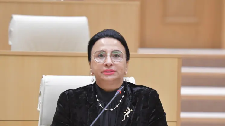 "ეს არის სწორედ შეფასება იმისა, რასაც აკეთებს ოპოზიციური პარტია და აგენტურული ქსელი ჩვენს ქვეყანაში" - რიმა ბერაძე IRI-ის კვლევაზე