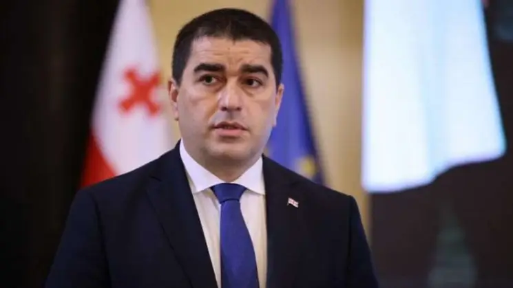 ხელისუფლებაში რომ ყოფილიყვნენ კოლექტიური ნაცმოძრაობის წევრები, საქართველო ომში ჩაერთვებოდა - შალვა პაპუაშვილი
