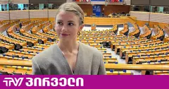 საჯარო მოხელე ამბობს, რომ სახალხო დამცველმა სამსახურიდან “ამოუხსნელი და აბსურდული“ მიზეზით გაუშვა