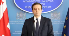 პატიმარ გიორგი დავითაძის მიმართ ძალადობის მტკიცებულება ვერ ვნახეთ - იოსელიანი