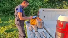 ხობის მუნიციპალიტეტში ბრაკონიერობის ფაქტი გამოვლინდა