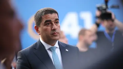 სხვა ქვეყნის ფონდებს საქართველოში პოლიტიკური მისია შესასრულებელი არა აქვთ – პაპუაშვილი