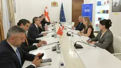 მარიამ ლაშხი თურქეთის ეროვნული განათლების მინისტრს შეხვდა