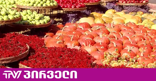 დღეს "თბილისობაა" - დედაქალაქში საზეიმო ღონისძიებები მიმდინარეობს